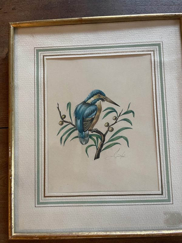 Incisioni incorniciate - Uccelli - Firmate - Gravure encadrées - Oiseaux- Signées – Image 8