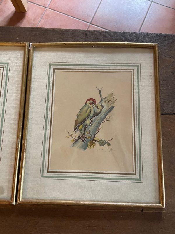 Incisioni incorniciate - Uccelli - Firmate - Gravure encadrées - Oiseaux- Signées – Image 2