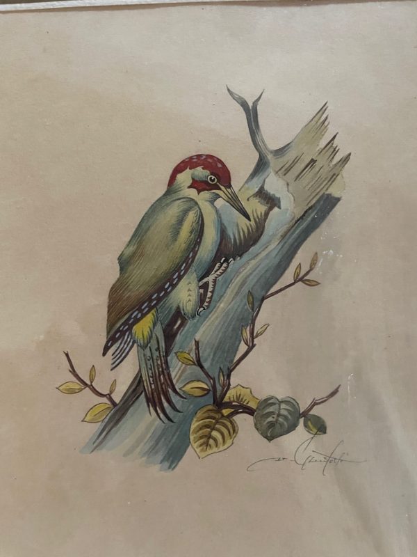 Incisioni incorniciate - Uccelli - Firmate - Gravure encadrées - Oiseaux- Signées – Image 3