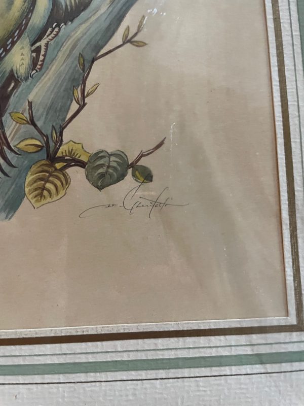 Incisioni incorniciate - Uccelli - Firmate - Gravure encadrées - Oiseaux- Signées – Image 4