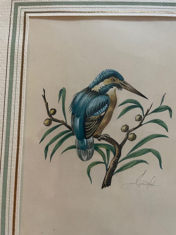Incisioni incorniciate - Uccelli - Firmate - Gravure encadrées - Oiseaux- Signées – Image 6