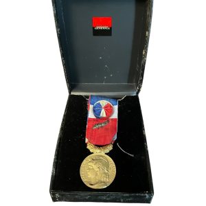 Médaille d'honneur du travail dans son écrin - France - 2000-Medaglia d'onore al lavoro nel suo caso - Francia - 2000