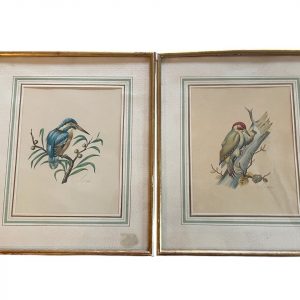 Incisioni incorniciate - Uccelli - Firmate - Gravure encadrées - Oiseaux- Signées