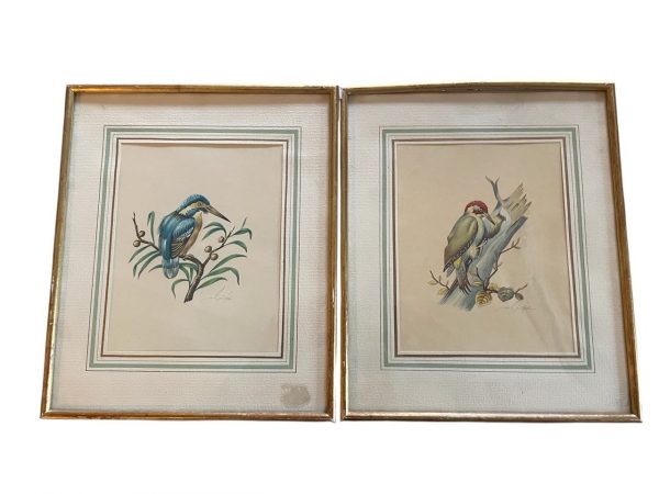 Incisioni incorniciate - Uccelli - Firmate - Gravure encadrées - Oiseaux- Signées